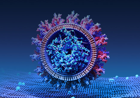 COVID Target Stable Cell Lines